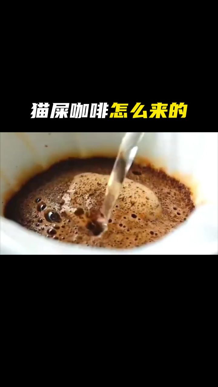猫屎咖啡是怎么来的?