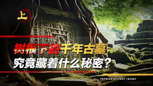 杨树根部惊现千年古墓,发掘现场引众人围观,意外发现神秘陪葬品_高清1080P在线观看平台_腾讯视频