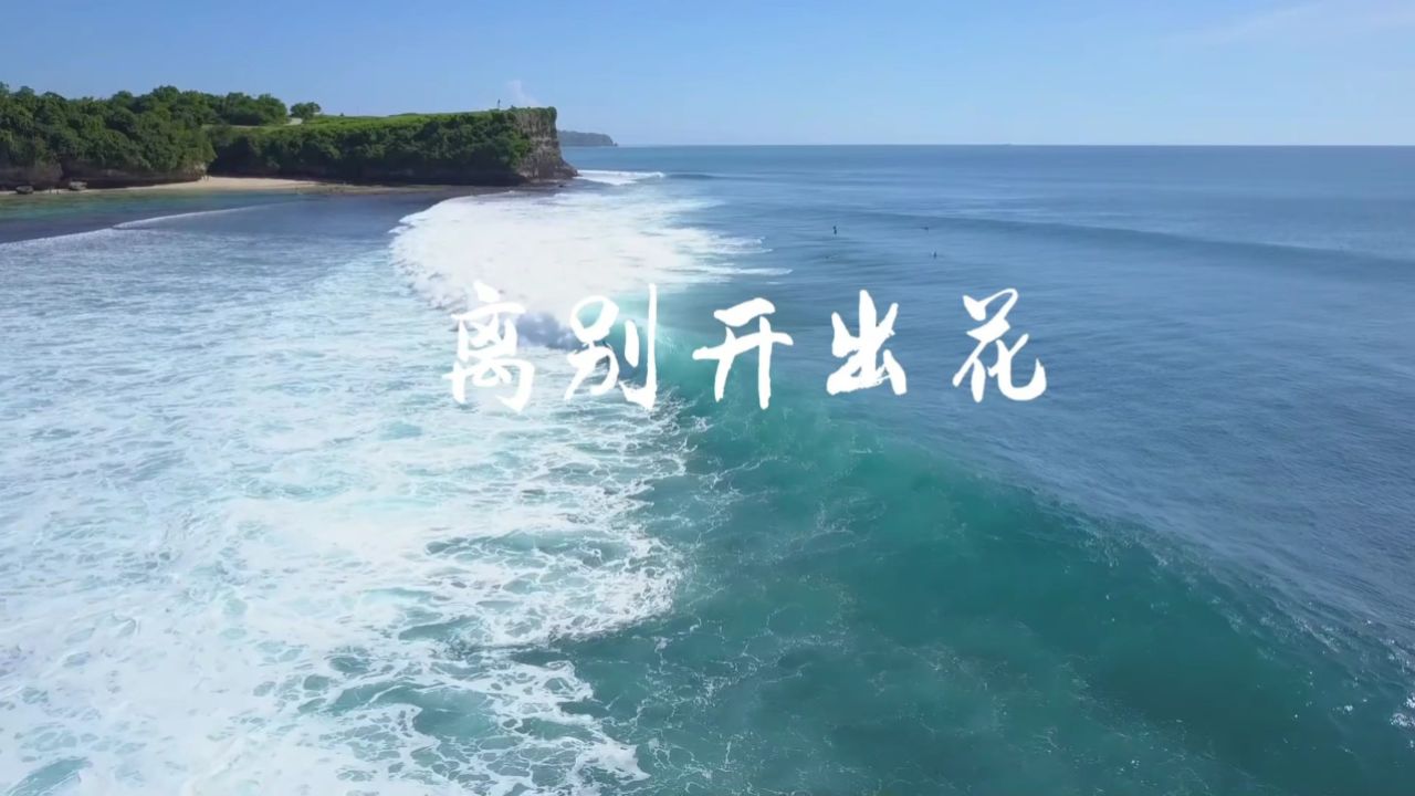 离别开出花2版led歌曲背景视频