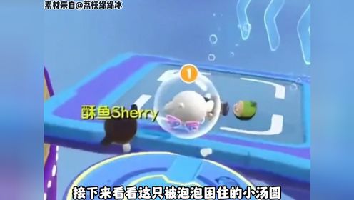 被泡泡困住的小汤圆