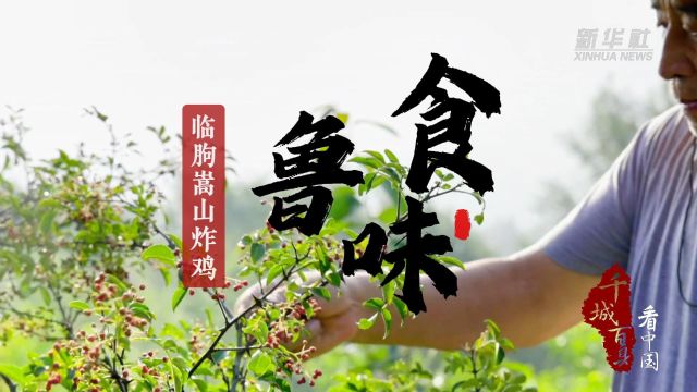 千城百县看中国丨食鲁味:临朐嵩山炸鸡