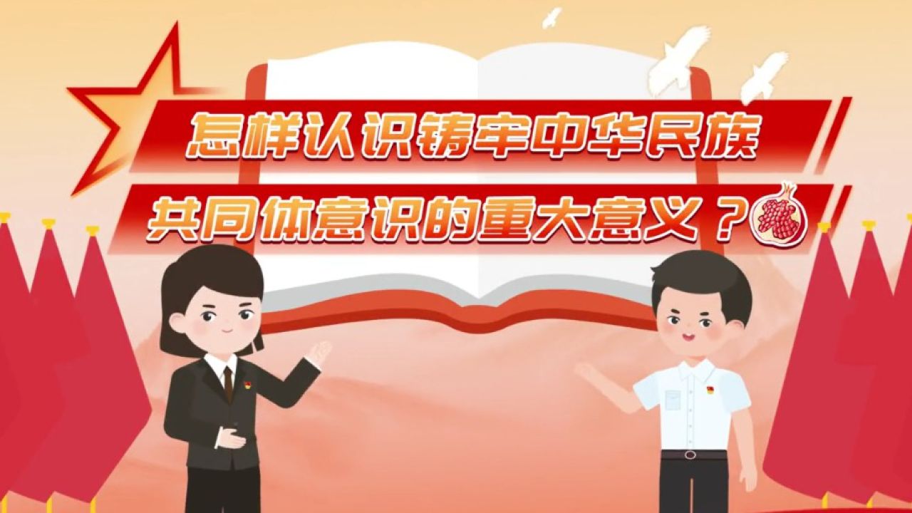 铸牢中华民族共同体意识系列动画1_高清