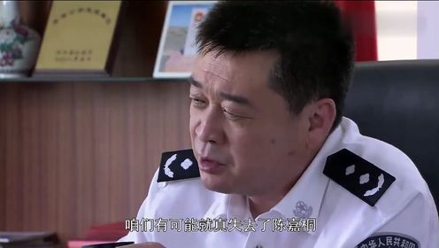 预备警官：厅长说出实情，陈嘉桐没被警院真的开除，而是当了卧底