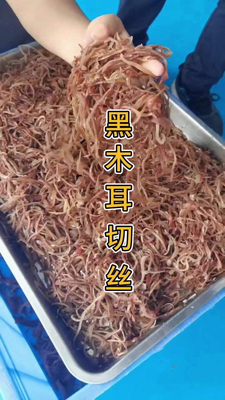 木耳切丝机,让你切菜变得轻松又简单,果蔬青菜切丝,多功能变频切菜机.