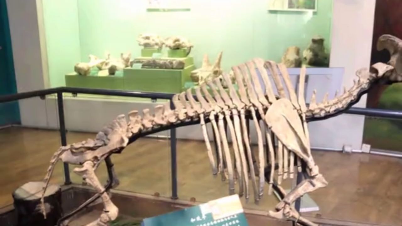 甘肃省博物馆陈列展品巜和政羊》