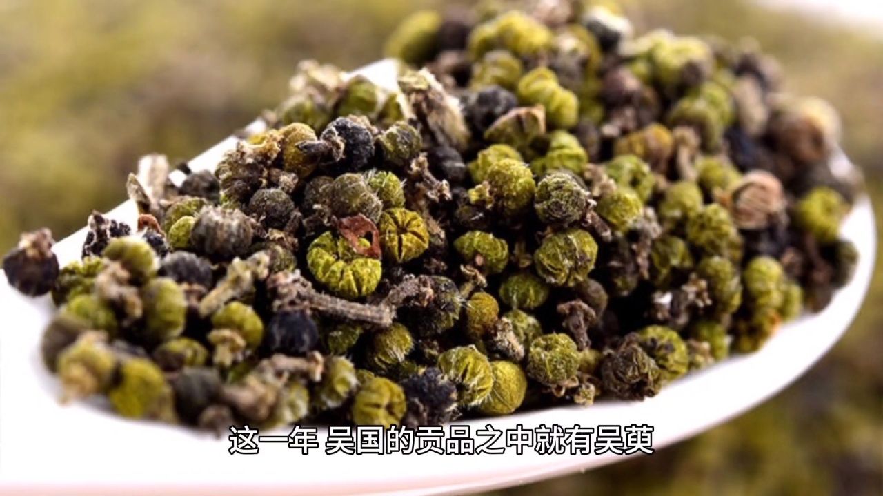 吴茱萸崇义图片