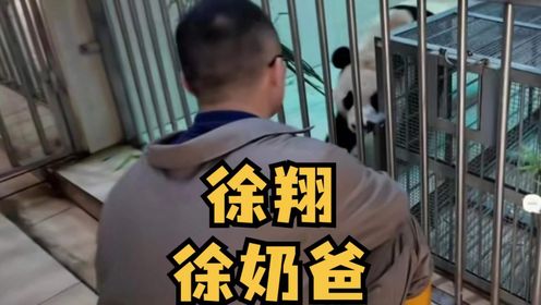 徐翔作为福宝的金牌奶爸,在照顾福宝方面用心尽责