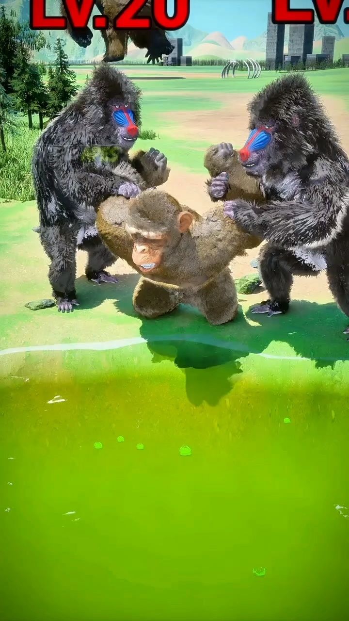 小猴子你太厉害了