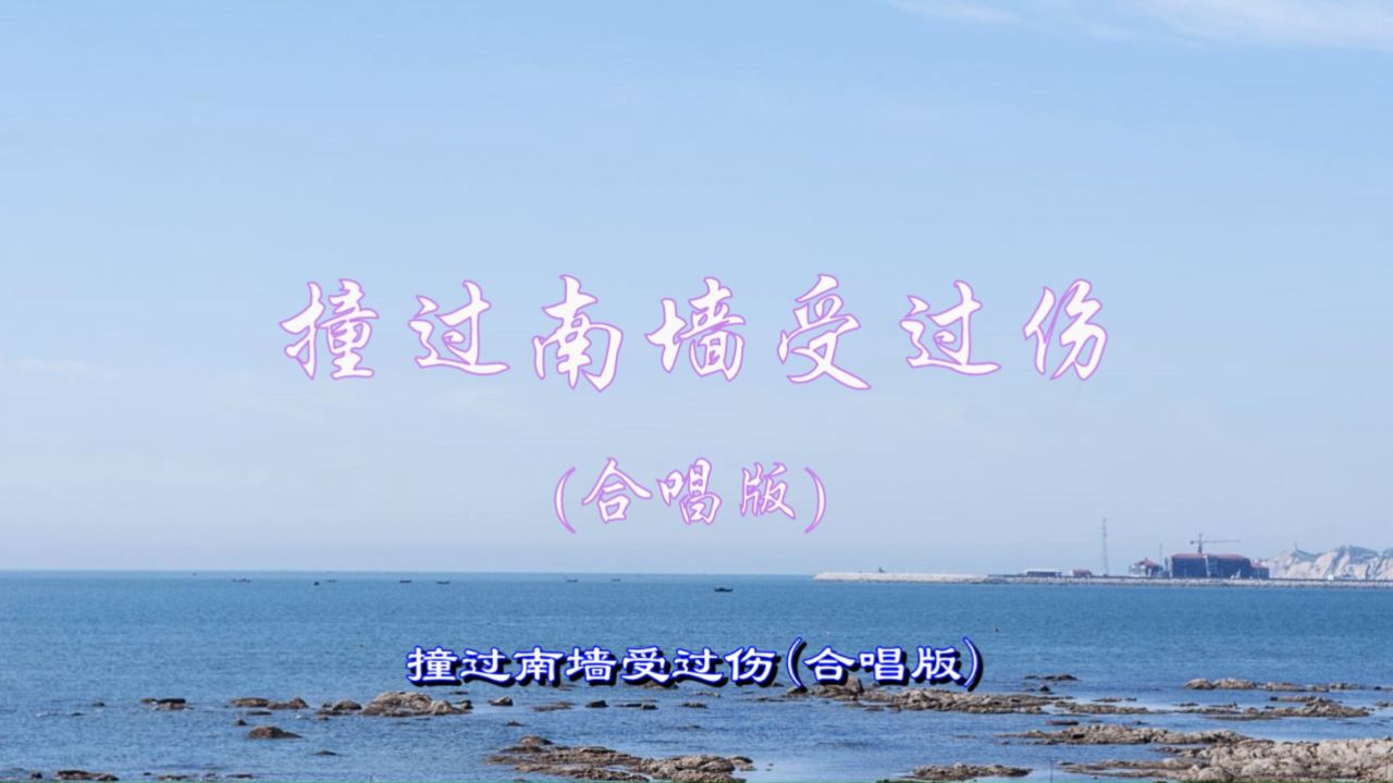 撞过南墙受过伤-(雨中百合-合唱版)