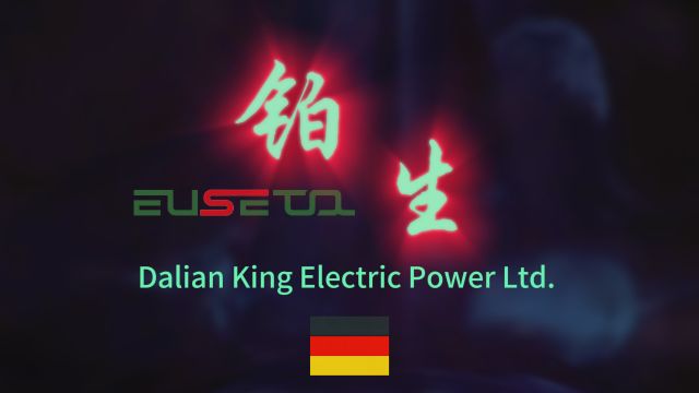 Dalian King Electric Power Ltd.