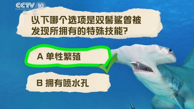 双髻鲨曾被发现所拥有特殊技能,它可以单性繁殖,雄性地位堪忧