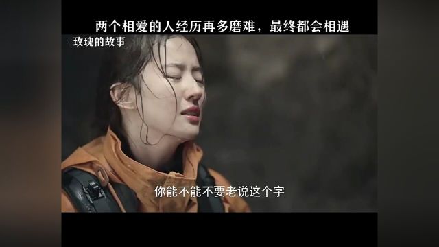 玫瑰傅家明山顶相遇电视剧