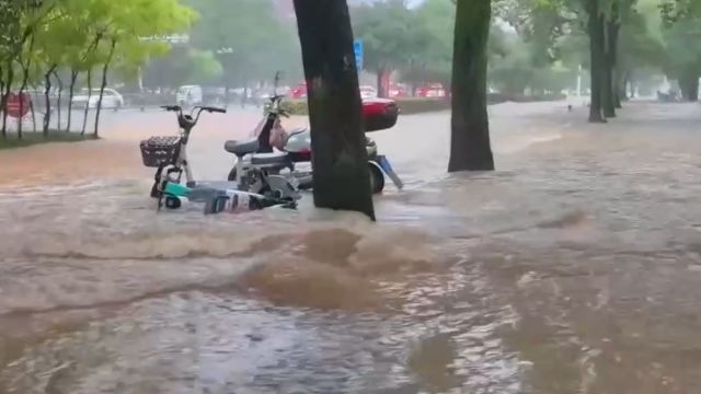 湖北咸宁:暴雨致多地积水,消防救援排险