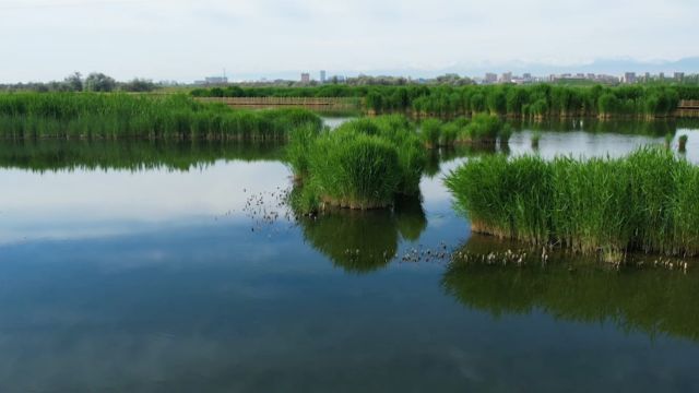 生态文明,美丽中国:甘肃湿地