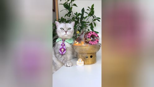 猫王：芒果冰沙火锅，太适合夏天了！