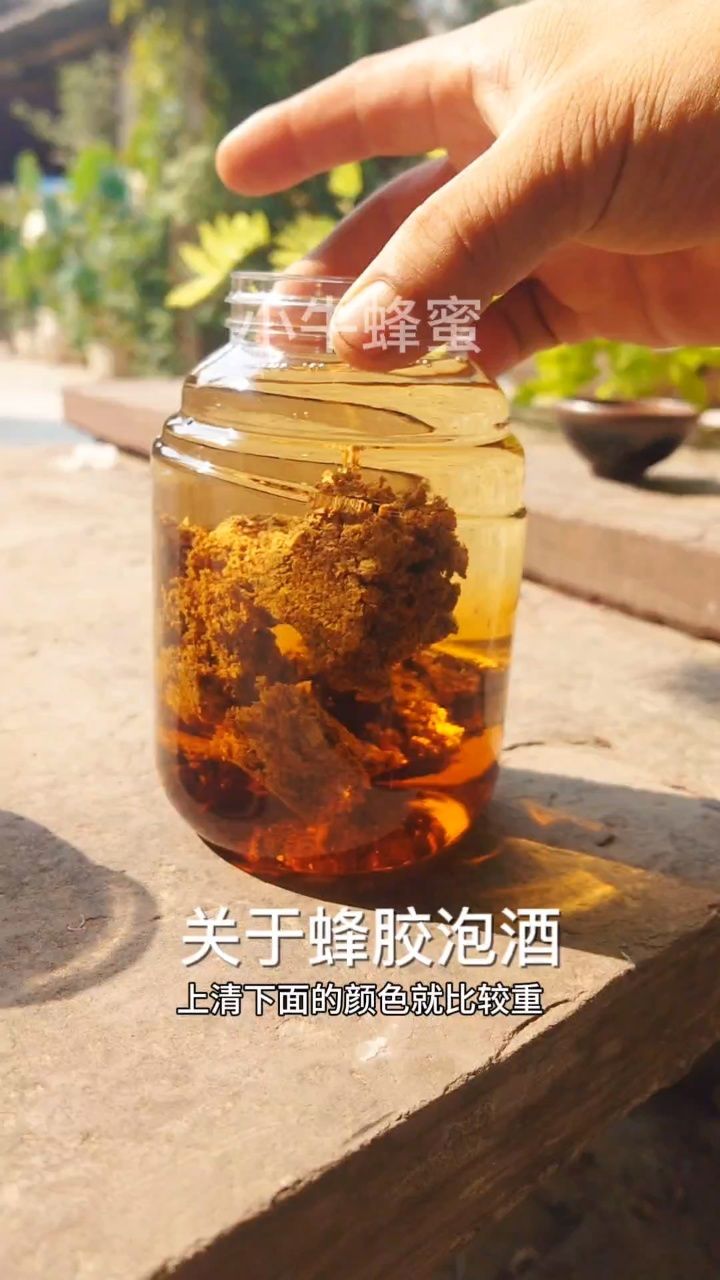 蜂胶的正确吃法和用法(蜂胶一天吃几粒最好)