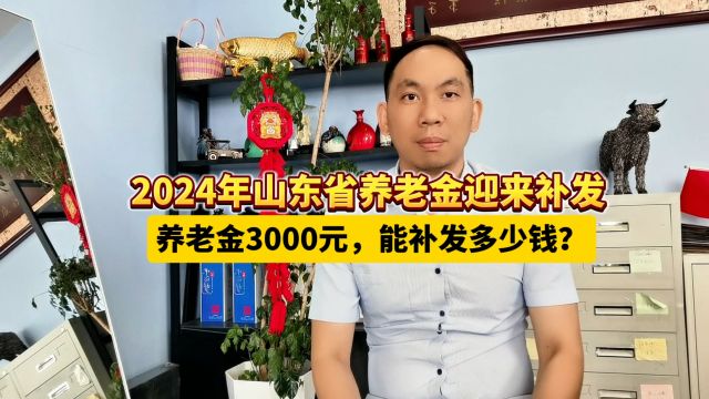 2024年山东省养老金迎来补发,养老金3000元,能补发多少钱?