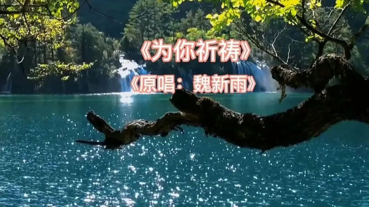 一首《祈祷》祝愿:夏日安康,吉祥美好!