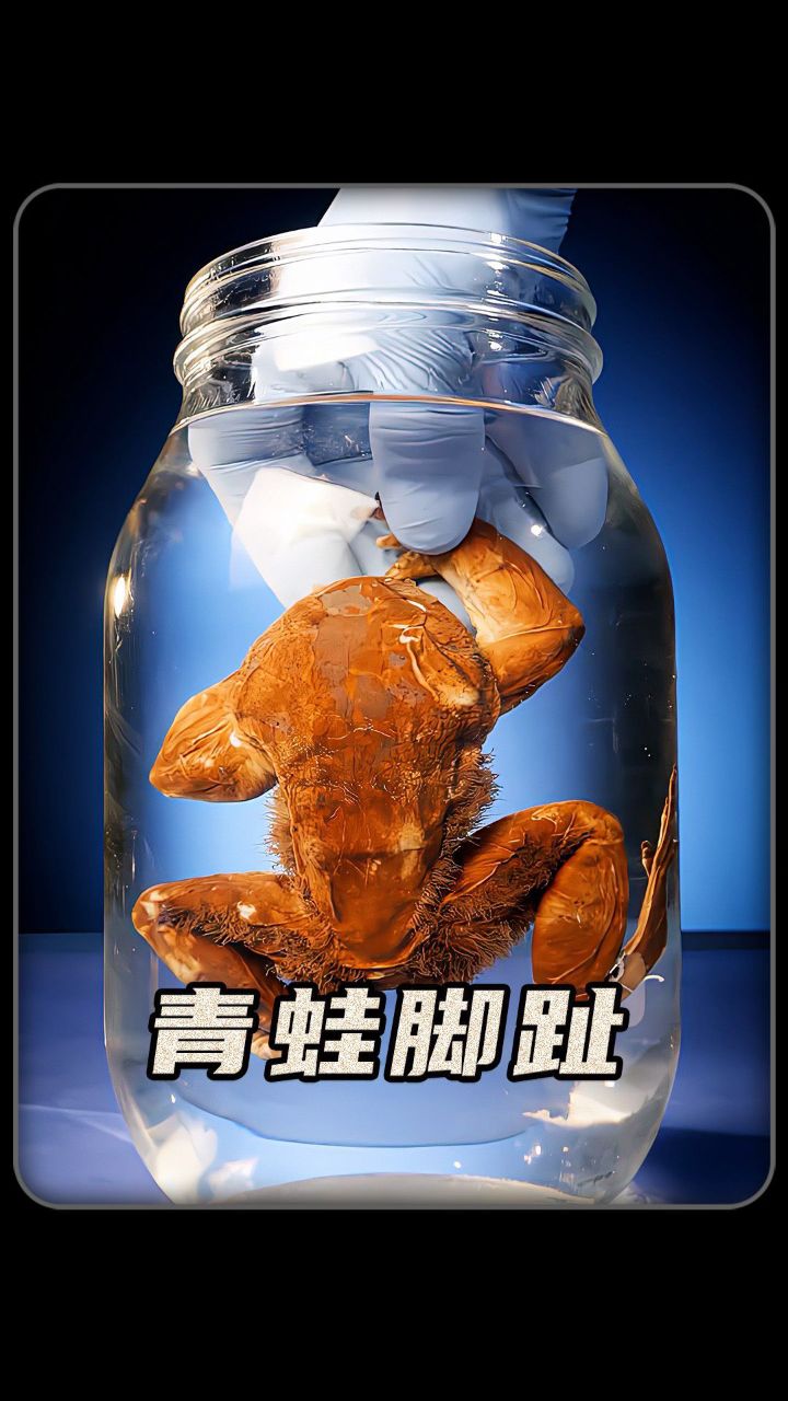 为什么青蛙会有锋利的爪子?