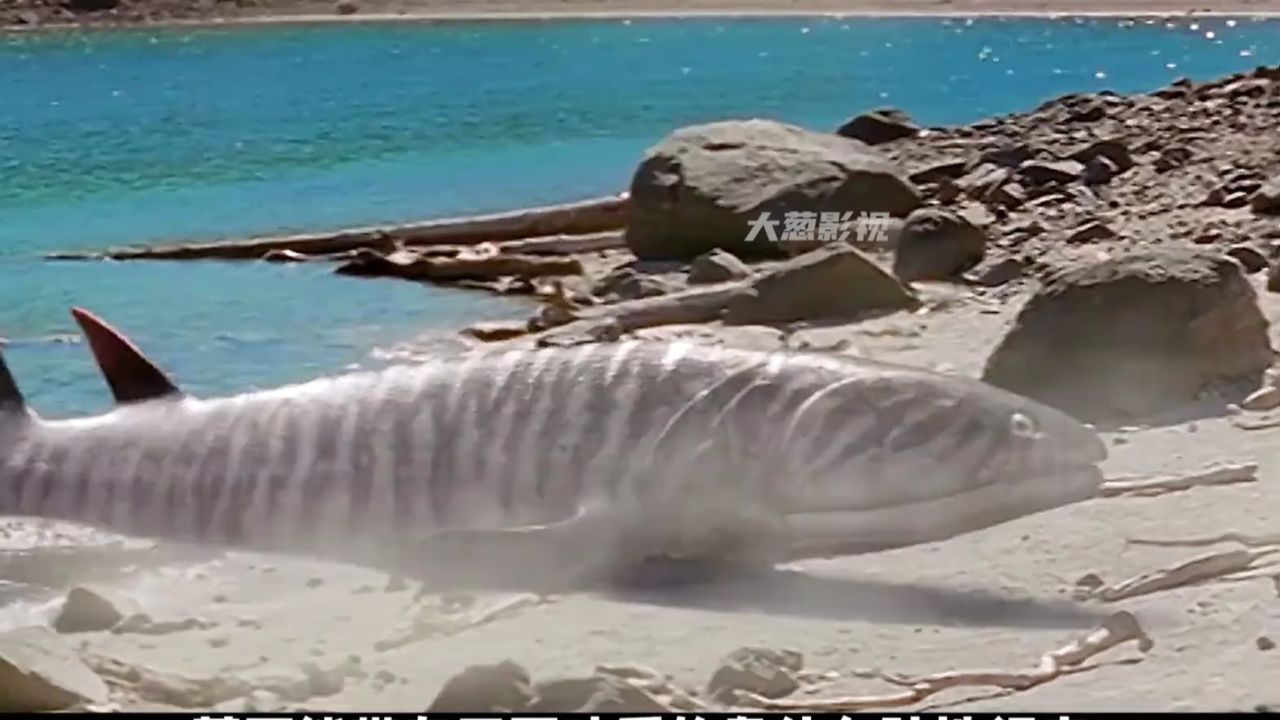 人类的远古祖先，差点被陆地上行走的鱼吃掉#古生物#生物科普#肉食鱼#远古生物#巨型蜘蛛_高清1080P在线观看平台_腾讯视频
