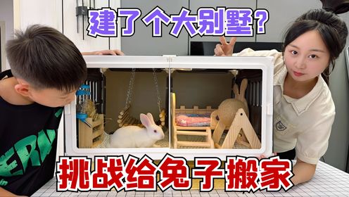 挑战给兔子建一个大别墅，这床也太舒服了，我都想住进去了？