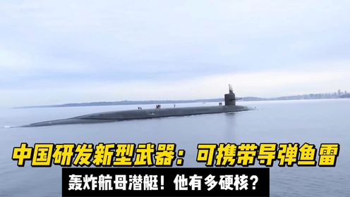 中国研发新型武器：可携带导弹鱼雷，轰炸航母潜艇！他有多硬核？高清1080p在线观看平台腾讯视频 