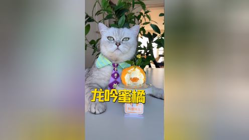 猫王：把橘子果肉一颗颗拔下，然后粘回去！