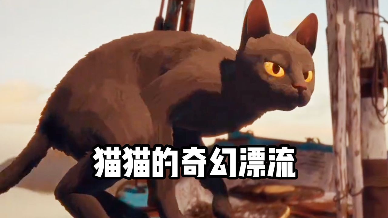 猫猫的奇幻漂流_高清1080P在线观看平台_腾讯视频
