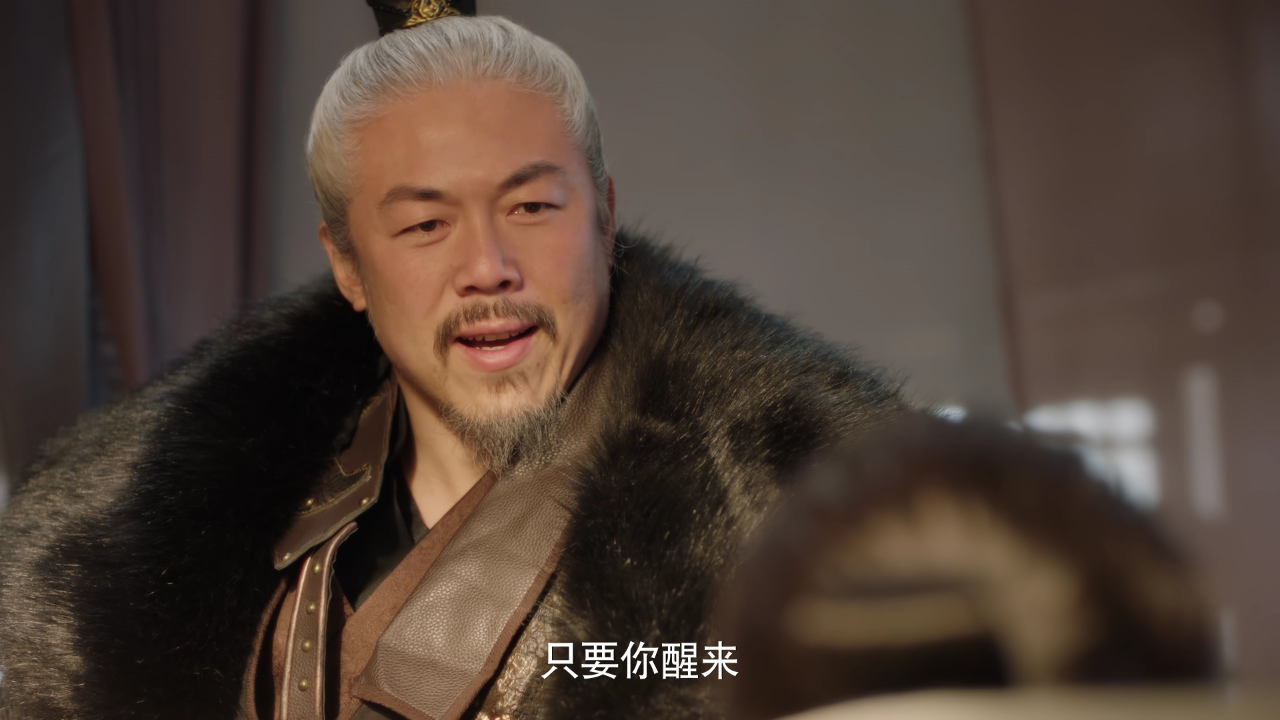 花颜劫 12集