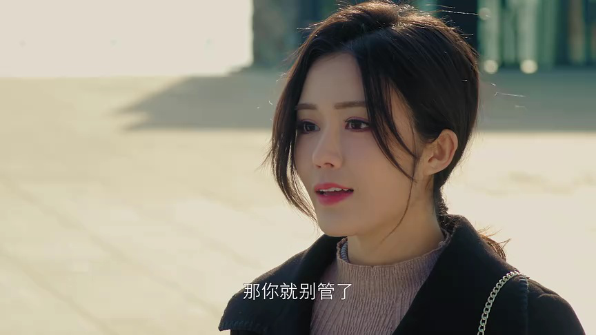 塞上迷情 13集