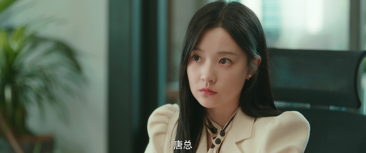 请再和我结婚吧 25集