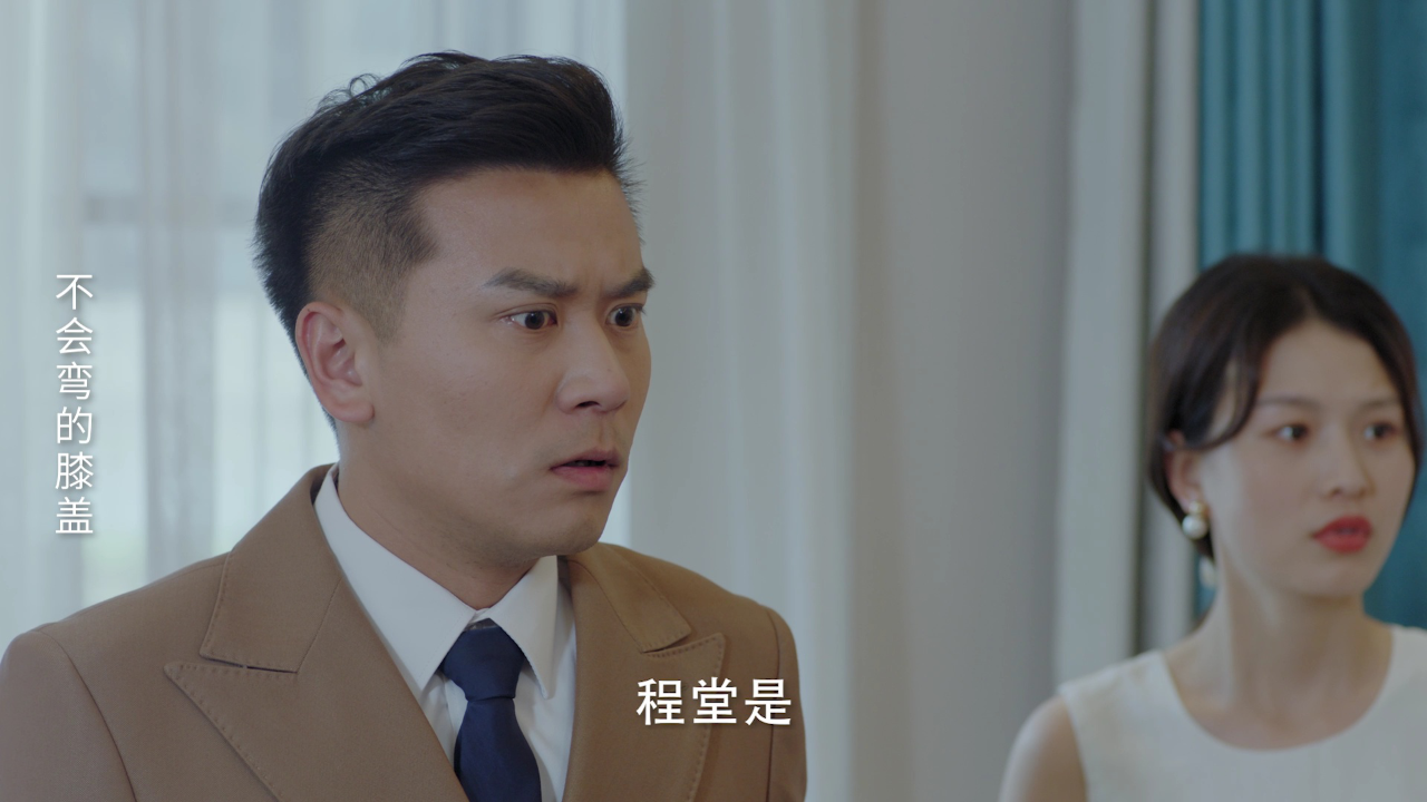 他来自程氏集团 15集