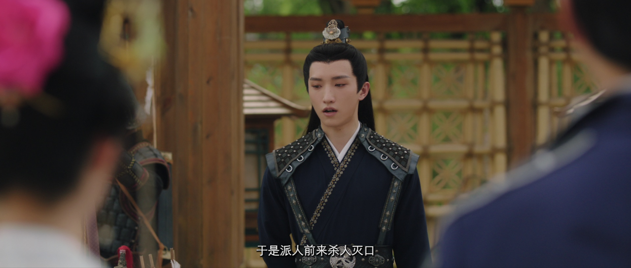 无主之花 20集