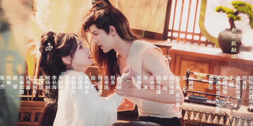 夺娶 6集