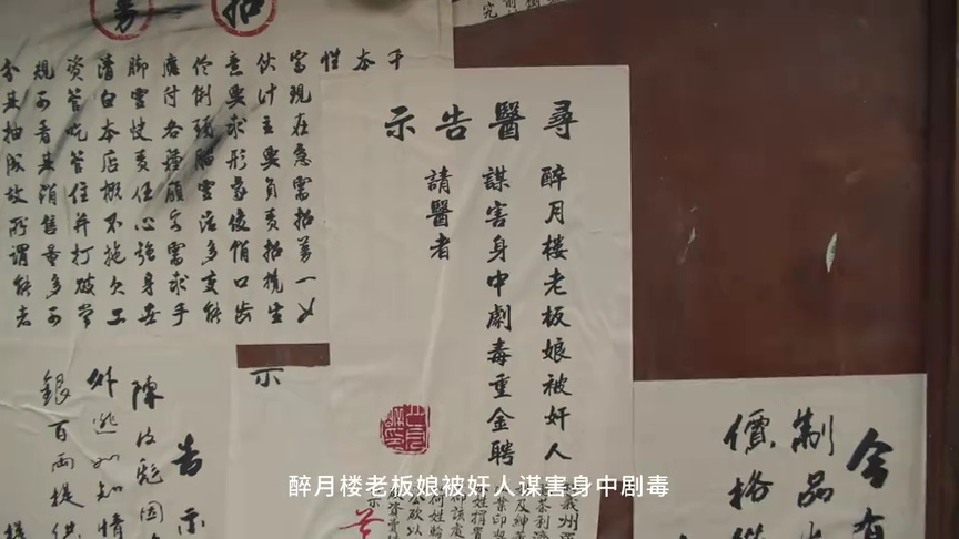 少寨主且慢 9集