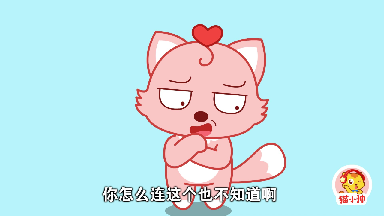 猫小帅搞笑小视频 114集