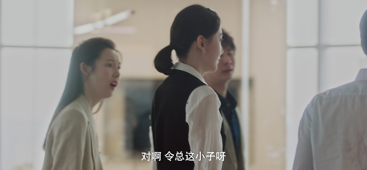 令总无恙 11集