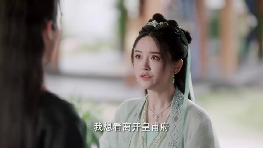 陆昭昭的刺客笔记 21集
