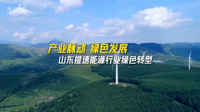 产业脉动 绿色发展|山东提速能源行业绿色转型