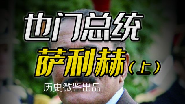 萨利赫放纵胡塞武装,究竟是“养虎为患”还是为了“金蝉脱壳”?