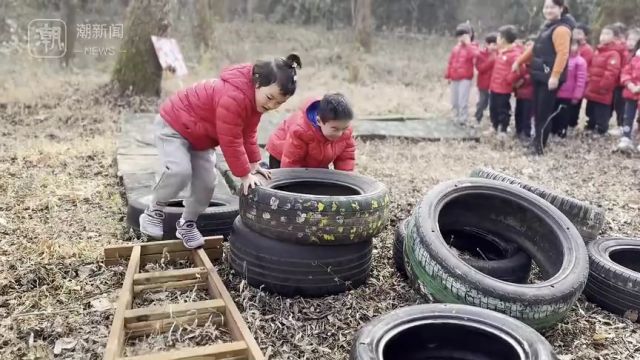 杭州的森林里来了一群小精灵开运动会