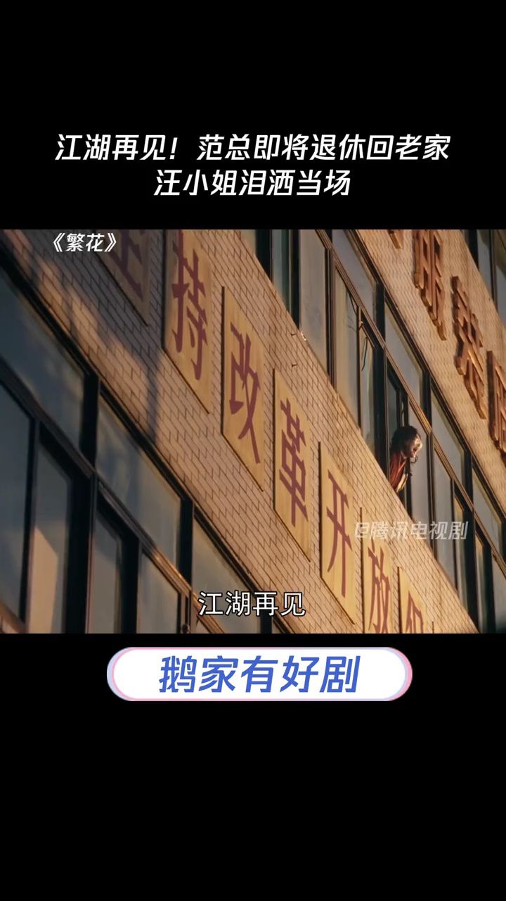 江湖再见!范总即将退休回老家,汪小姐泪洒当场#繁花 #唐嫣 #董勇