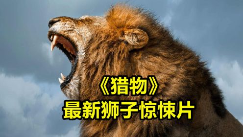 最新狮子惊悚片《猎物》预告，飞机坠落狮子狩猎场