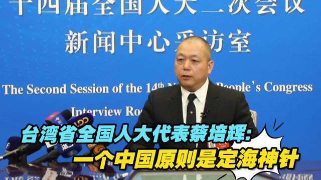 台湾省全国人大代表蔡培辉:一个中国原则是定海神针