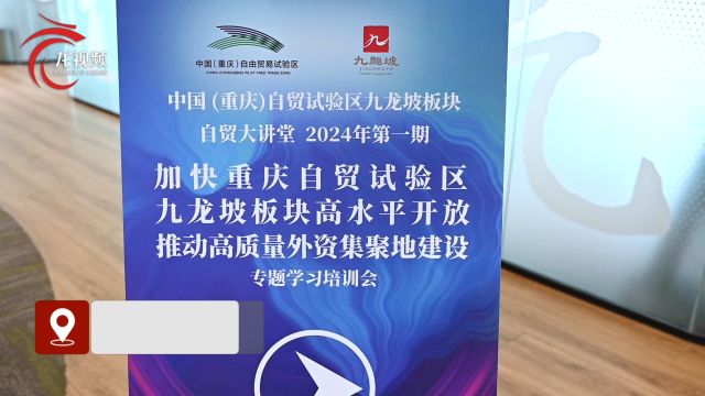 打造引资集聚地 今年一季度九龙坡区实际使用外资增速位居全市第一