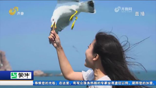 加强环境治理守好自然生态空间,珍稀物种在山东“安家”名单扩容