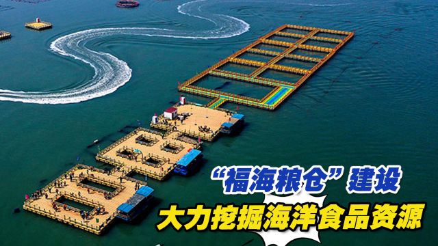 “福海粮仓”建设大力挖掘海洋食品资源