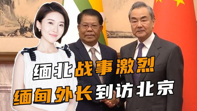 缅甸外长:缅国内仍面临不少挑战,希望继续得到中方支持帮助