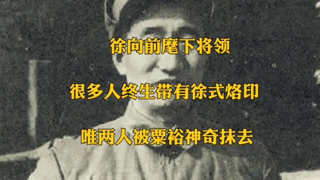 徐向前麾下将领,很多人终生带有徐式烙印,唯两人被粟裕神奇抹去