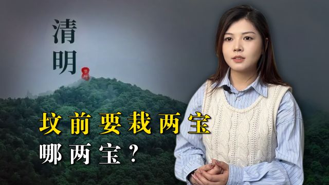 “清明烧纸有三忌,坟前还需栽两宝”,老一辈留下的规矩,不小心就错了